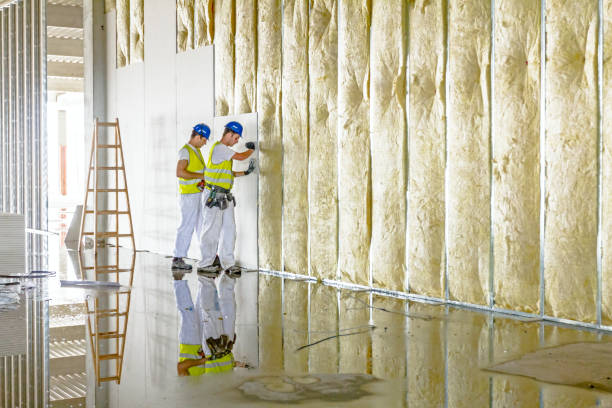 Best Eco-Friendly or Green Insulation Solutions  in Gratton, VA